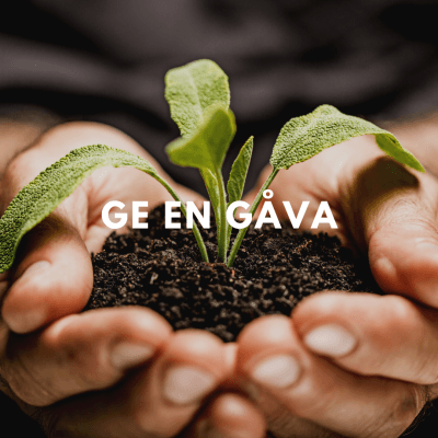 Give a gift